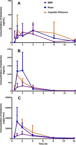 Figure 5 Concentration-time curves of berberine hydrochloride (BBR) in the systemic circulation (A), portal vein (B), and livers (C) of mice receiving 200 mg/kg oral BBR, the complex of the natural nanoparticles (Nnps) and BBR (Nnps-BBR), and Coptidis Rhizoma extract, which all contained the corresponding dosage of BBR (Mean ± SD, n = 6).