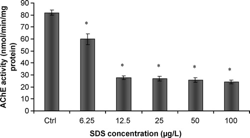 Figure 4 In vitro effects of SDS on acetylcholinesterasic activity of total head homogenates of G. holbrooki. Values are the mean of three replicate assays and corresponding standard error bars. *-Significant differences, p < 0.05.