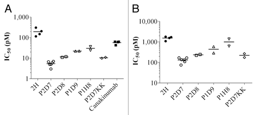 Figure 2. In vitro potency of 2H, its affinity-matured derived antibodies and canakinumab toward human (A) and mouse (B) IL-1β. IC50 extrapolated from the inhibition of IL-1β-induced IL-6 release in MRC5 cells. IC50 was calculated on triplicate wells. Shown are individual data and mean on 2 to 6 independent experiments (n = 6 for P2D7, n = 4 for 2H and canakinumab, n = 2 for other antibodies).