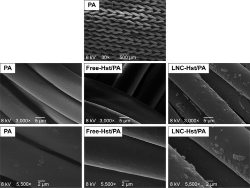 Figure 8 Scanning electron micrographs of nanoencapsulated Hst (LNC-Hst) and hydroalcoholic solution (free-Hst) impregnated in PA fiber at different magnifications.Abbreviations: Hst, hesperetin; LNC, lipid-core nanocapsule; PA, polyamide.