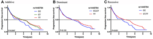 Figure 1 The ABCG2 rs1448784 is significantly associated with PFS in lung cancer patients treated with platinum-based chemotherapy. (A) PFS of lung cancer patients by rs1448784 using additive model. (B) PFS of lung cancer patients by rs1448784 using dominant model. (C) PFS of lung cancer patients by rs1448784 using recessive model.