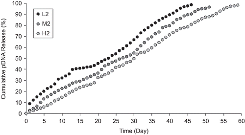Figure 2.  Effect of chitosan concentration on release behavior of CS-NPs.