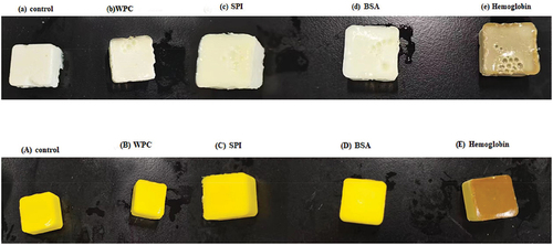 Figure 1. Visual images of (a) control, (b) WPC, (c) SPI, (d) BSA and (e) hemoglobin-treated egg white gels and (A) control, (B) WPC, (C) SPI, (D) BSA and (E) hemoglobin-treated egg yolk gels. WPC, whey protein concentrate. SPI, soy protein isolate. BSA, bovine serum albumin.