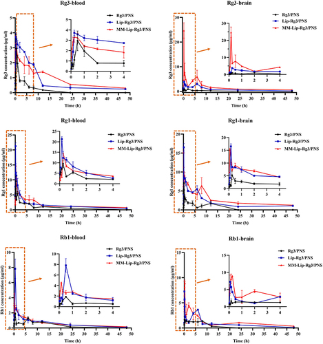 Figure 8 Concentration–time curve of Rg3, Rg1 and Rb1 in MACO rats after intranasal administration of Rg3/PNS, Lip-Rg3/PNS, and MM-Lip-Rg3/PNS. The data were presented as the mean ± SD (n =3).