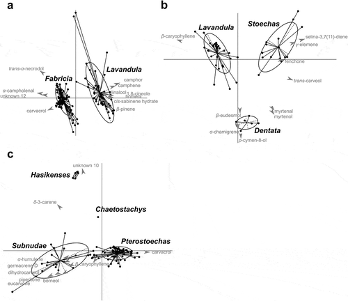 Figure 1. PLS-DA on the compositional matrix of VOCs. For each graph, the 10 most discriminant compounds (with the highest VIP) were represented in grey font. (a) PLS-DA at the subgenus level. (b) PLS-DA within the Lavandula subgenus at the section level. (c) PLS-DA within the Fabricia subgenus at the section level. Ellipse includes 95% of the samples.