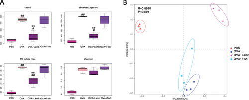 Figure 3 Effect of lamb and fish on the intestinal microbiota of mice. (A) Comparison of alpha diversity of Chao index, observed species, PD whole tree, and Shannon’s index among four groups. (B) Principal Component Analysis (PCA) of mice with ANOSIM analysis. Compared with the PBS group, ##P <0.01 #P <0.05; compared with the OVA group, **P <0.01. n = 3 per group.