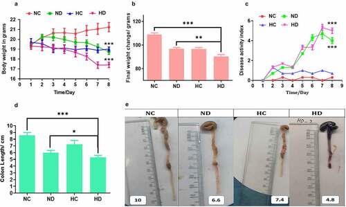 Figure 1. High-altitude hypoxia enhances the severity of ulcerative colitis in the DSS induced colitis mice model, 5 mice /group were used. (a) The effect of high-altitude hypoxia on the body weight during 8 days among groups (NC, normal group; ND, DSS group; HC, Hypobaric hypoxia group; HD, hypobaric hypoxia DSS group). (b) The effect of high-altitude hypoxia during 3 months among tested groups. (c) the results of disease active index among tested groups. (d, e) The length of colon among tested groups. *P < 0.05, **P < 0.01, ***P < 0.001