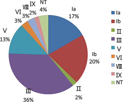 Figure 2 Serotyping results for the 102 GBS strains from the pregnant women.
