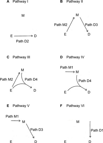 Figure 3 The six disease pathways.