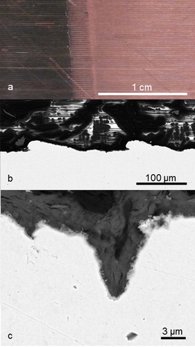 Figure 4. Morphology of the copper canister in MiniCan 4. (a) From a macroscopic perspective, the band structure (horizontal lines in the photo) introduced during manufacturing the miniature canister remains visibly intact over the whole canister surface. In the left part of the photo sulphides are still present (black), in the right part the surface has been cleaned using citric acid. (b) At the microscopic level, SEM reveals the same ∼100 µm band structure and distinct pits of a few µm depth. (c) Close-up of a distinct pit from the EB welding material of MiniCan 4.