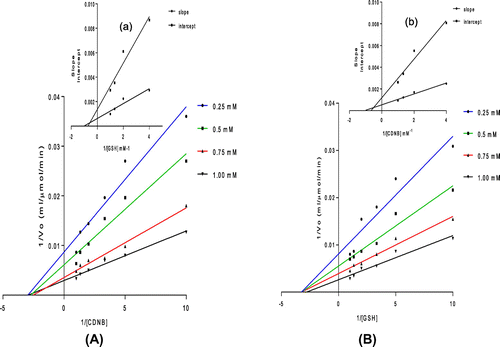 Figure 9. Double reciprocal plot of rplGSTc-catalyzed reaction. (A) Plots of 1/vo vs. 1/[CDNB] at constant varied concentrations of GSH. (a) Secondary plot: plots of intercept or slopes in (A) vs. 1/[GSH]. (B) Plots of 1/vo vs. 1/[GSH] at constant varied concentrations of CDNB. (b) Secondary plot: plots of intercepts or slopes in (B) vs. 1/[CDNB].