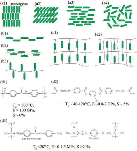 Figure 33. Liquid crystal polymers: (a1) smectic A liquid crystal phase exhibiting alignment and layers, (a2) smectic C liquid crystal phase exhibiting alignment and layers, (a3) nematic liquid crystal phase exhibiting alignment and but not layers, (a4) isotropic phase exhibiting neither alignment nor layers, (b1) main chain liquid crystal polymer with mesogenic groups incorporated into backbone polymer, (b2) side-on liquid crystal polymer with mesogenic groups side linked to backbone, (b3) end-on liquid crystal polymer with mesogenic group end linked to backbone, (c1) cross-linking of a liquid crystal network (LCN), (c2) cross-linking of a liquid crystal elastomer (LCE), (d1) representative linear LCP, with melting temp in excess of 300◦ C, elastic modulus in excess of 100 GPa and minimal change in entropy in response to stimuli, (d2) representative liquid crystal network with a glass transition temperature of 40–120◦ C, an elastic modulus of 0.8–2 GPa and a change in entropy of about 5%, representative liquid crystal elastomer with a glass transition temperature of less than 20◦ C, an elastic modulus of between 0.1–5 MPa and a change in entropy in excess of 90% [Citation1,Citation29]. Figures (d1)-(d3) reprinted with permission from [Citation29].