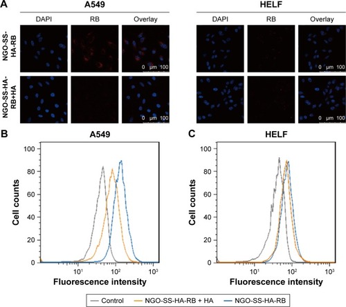 Figure 4 Confocal images (A) and flow cytometric analysis (B and C) of A549 and HELF cells with or without pre-treatment with excess HA incubated with NGO-SS-HA-RB for 2 hours. Confocal images (D) and flow cytometric measurement (E) of RB release from in A549 cells pre-treated with various concentrations of GSH-OEt; UV–vis spectra (F) of intracellular Gef concentration after A549 cells were treated with various treatments.Abbreviations: NGO, nano-graphene oxide; HA, hyaluronic acid; Gef, gefitinib; RB, rhodamine B; GSH-OEt, glutathione reduced ethyl ester.