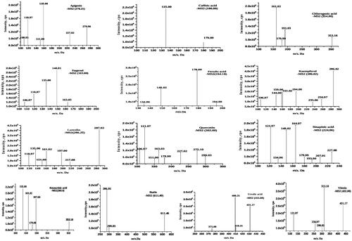 Figure 4. Graphical representation of MS/MS spectra and fragmentation profile of Ocimum sanctum bioactive compounds.