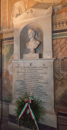 Figure 1. Giuseppe Raddi’s monument in the Santa Croce Cathedral in Florence. (Centro Studi Erbario Tropicale, herbarium FT photo archive).