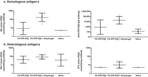 Figure 6. Serum antibody responses after intramuscular injections with P2-VP8* P[8] antigen with and without Alhydrogel adjuvant. Six animals for each antigen group with and without adjuvant were immunized on days 0, 14, and 28, and blood samples were analyzed on day 42 (two weeks after the final immunization). Three naïve animals for each antigen group were included as negative controls, and blood samples were analyzed on day 42. (a) Neutralizing antibodies and total binding immunoglobulin G (IgG) detected against homologous antigen. (b) Neutralizing antibody responses generated against heterologous antigens. Geometric mean titers with 95% confidence intervals are shown.
