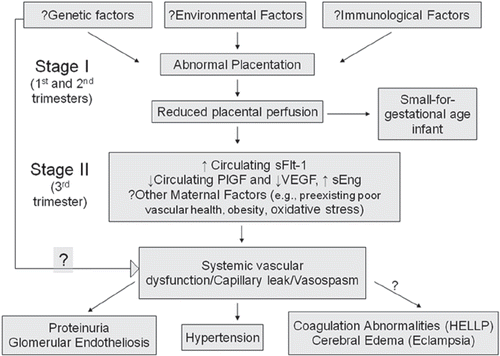 Figure 1. Summary of the pathogenesis of preeclampsia.