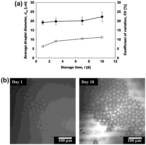 Fig. 7. Storage stability of the prepared aqueous microspheres containing 20% (w/w) l-AA at 40°C.Notes: (a) Storage stability of the microspheres during 10 days of storage at 40°C. (●) Denote their average diameter (dav) and (○) denote their CV. (b) Optical micrographs at d 1 and 10.