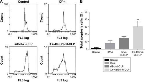 Figure 11 XY-4/Bcl-xl siRNA co-loaded cationic liposomes (XY-4/siBcl-xl-CLP) induced apoptosis in B16 melanoma cells. (A) Cell apoptosis detected by flow cytometry; (B) cell apoptosis rates of cells from each group. XY-4/siBcl-xl-CLP group demonstrated strong apoptosis compare into Control group (**p<0.05).