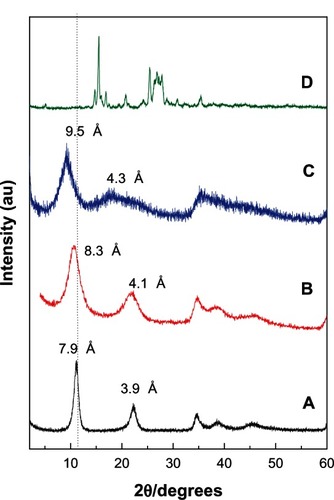 Figure 1 Powder X-ray diffraction patterns for the Mg/Al-layered double hydroxide (A), PANE (B), PAND (C), and free protocatechuic acid (D).Abbreviations: PAND, protocatechuic acid-Mg/Al nanocomposite synthesized by direct method; PANE, protocatechuic acid-Mg/Al nanocomposite synthesized by ion-exchange method.