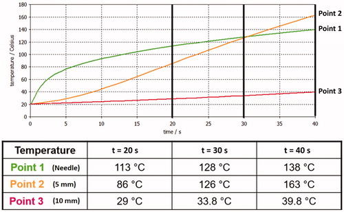 Figure 3. Temperature evolution results obtained through the CST simulator.