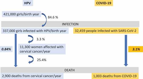 Figure 1. Comparison of COVID-19 and cervical cancer caused by HPV infection