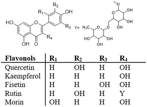 Figure 5. Structures of flavonols.