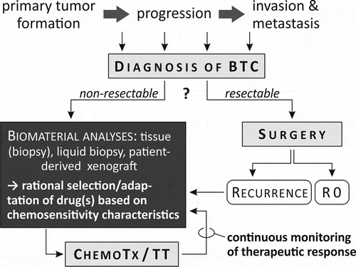 Figure 1. Proposal for rational choice of appropriate chemotherapy in cases with BTC. BTC, biliary tract cancer; ChemoTx, chemotherapy; TT, targeted therapy.