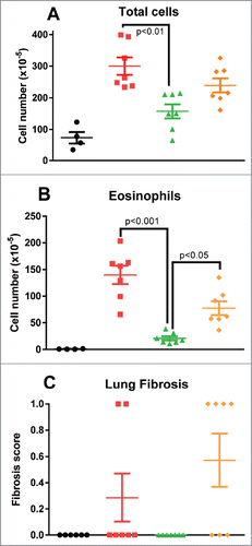 Figure 11. Assessment of BALF total cells (A) and eosinophils (B), and interstitial fibrosis by Masson's trichrome staining (C). Treatment with C03V significantly reduced induction of total cells (p<0.01) and eosinophils (p<0.001) in BALF (Kruskall-Wallis test; n = 8), and abrogated the very mild induction of fibrosis. (• naïve; ▪ vehicle; ▴ C03V; ♦ isotype).