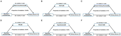 Figure 4. Mediation analysis of metabolic syndrome parameters and vitamin D levels on the interaction between RC and kidney stone risk.
