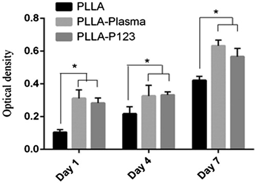 Figure 3. Proliferation of MSC on scaffolds (PLLA, PLLA–plasma and PLLA–P123).