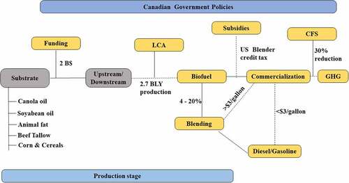 Figure 3. Summary of Canadian government policies on biofuel production, commercialization and GHG emission reduction: where, B$: billion dollars; BLY: billion liters per year; LCA: life cycle assessment; CFS: clean fuel standards; GHG: greenhouse gas