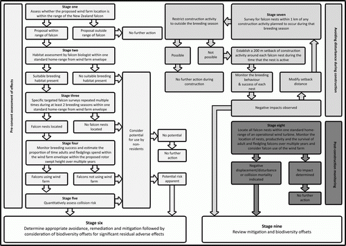 Figure 1  A framework suitable for assessing the risk of a proposed wind farm to New Zealand falcon.