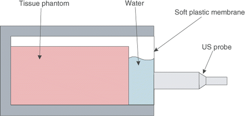 Figure 7. The schematic of the setup used for TDPE validation. The tissue phantom is in a box filled with water. The probe motion is not transmitted to the tissue phantom due to the presence of water between them.