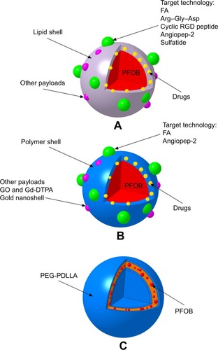 Figure 2 Schematic of the structures of PFOB NPs with different shells functionalized by different ligands.Notes: (A) Representative images of typical PFOB NPs with a lipid shell for functionalization, representing an extremely versatile platform for targeted US/pool imaging and drug delivery applications. PFOB NPs carry drugs in the lipid layer of their shell. FA and Arg–Gly–Asp are used for ligand-directed, tissue-targeted US imaging. The targeting peptides Arg–Gly–Asp, a cyclic RGD peptide, angiopep-2 and sulfatide are used for ligand-directed tissue-targeted drug delivery. (B) Representative images of other typical PFOB NPs with a polymer shell for functionalization, representing an extremely versatile platform for US pool imaging and drug delivery applications. PFOB NPs carry drugs in the polymer layer of their shell or in the center of the PFOB NPs. FA and angiopep-2 are used for ligand-directed tissue-targeted drug delivery. (C) Representative images of novel self-assembled PFOB NPs with a low PFOB content in the outer lipophilic layer, representing a platform for US pool imaging.Abbreviations: FA, folic acid; Gd-DTPA, gadolinium diethylene triamine pentacetate acid; GO, graphene oxide; PEG-PDLLA, poly(ethylene glycol)-b-poly(d,l-lactic acid); PFOB, perfluoroo ctylbromide; PFOB NPs, perfluorooctylbromide nanoparticles; US, ultrasound.