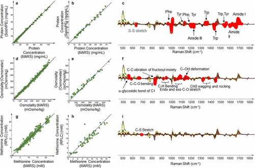 Figure 3. Multiproduct PLS model based on the Raman spectra of formulation-related PQAs. (a) Correlation between MARS and protein concentration in the calibration set through PLS model. (b) Correlation between MARS and protein concentration in the validation set through PLS model. (c) Overlaid pre-processed Raman spectra of all the calibration samples. Red circles highlight the wavenumbers with the highest VIP weight of protein concentration in the model shown in Figure 3a and labeled with the identified chemical structure. (d) Correlation between MARS and osmolality in the calibration set through PLS model. (e) Correlation between MARS and osmolality in the validation set through PLS model. (f) Overlaid pre-processed Raman spectra of all the calibration samples. Red circles highlight the wavenumbers with the highest VIP weight of osmolality in the model shown in Figure 3d and labeled with the identified chemical structure. (g) Correlation between MARS and free methionine concentration in the calibration set through PLS model. (h) Correlation between MARS and free methionine in the validation set through PLS model. (i) Overlaid pre-processed Raman spectra of all the calibration samples. Red circles highlight the wavenumbers with the highest VIP weight of free methionine in the model shown in Figure 3g and labeled with the identified chemical structure