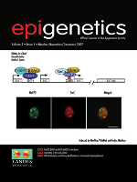 Cover image for Epigenetics, Volume 2, Issue 4, 2007
