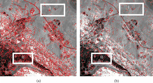 Figure 8. Nonuniform distribution of SIFT feature points for an IRS Image (900 × 900 pixels).