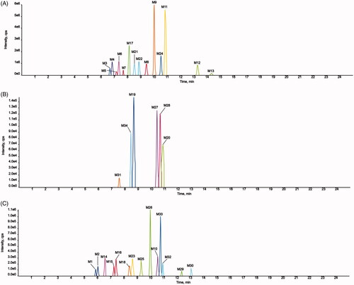 Figure 8. Extracted ion chromatograms of all metabolites of AMF in rats.