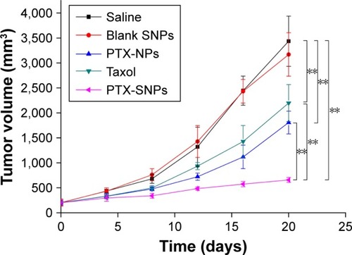 Figure 5 Tumor growth curves of EMT6 tumor-bearing mice after the administration of different PTX formulations.Notes: Values are presented as mean ± SD (n=6). PTX-NPs, PFOB NPs loaded with PTX; PTX-SNPs, sulfatide-targeted PFOB NPs loaded with PTX; blank SNPs, sulfatide-targeted PFOB NPs. **p<0.01. Reprinted from Li X, Qin F, Yang L, Mo L, Li L, Hou L. Sulfatide-containing lipid perfluorooctylbromide nanoparticles as paclitaxel vehicles targeting breast carcinoma. Int J Nanomedicine. 2014;9:3971–3985.Citation33Abbreviations: PFOB NPs, perfluorooctylbromide nanoparticles; PTX, paclitaxel; SNPs, sulfatide-targeted perfluorooctylbromide nanoparticles.