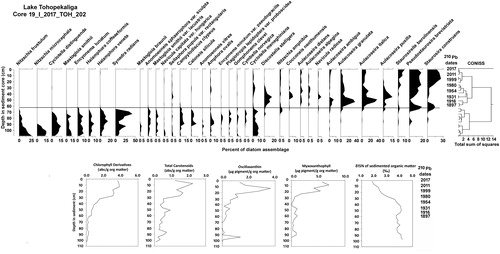 Figure 6. Diatom profile with CONISS zonation for core 19_I_2017_TOH_202 from Lake Tohopekaliga. Lower panels show sedimented algal and cyanobacterial pigment profiles.