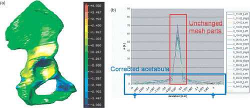 Figure 5. Innominate bone mesh distance deviations after automated acetabulum reconstruction: (a) color plot; (b) deviation histogram. A typical innominate bone mesh, built from contours with 2 mm of interslice distance and sampled with 50 points per spline, contains approximately 6000 mesh points. [Color version available online.]