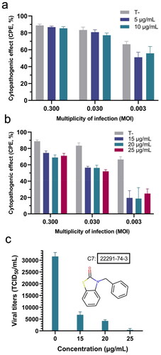 Figure 6. Evaluation of antiviral activity of compounds 1 and 7. Effect of (a) compound 1 and (b) compound 7 on the cytopathogenic effect by coronavirus hCoV-229 at different viral loads, n = 3. (c) Tissue culture infectious dose (50%) (TCID50), defined as the dilution of the virus required to infect 50% of the cell culture, in the presence of different concentrations of compound 7, n = 3.