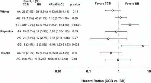 Figure 1. Pharmacogenetic association of rs2357928 in CACNB2 with treatment-related outcomes (all-cause death, non-fatal myocardial infarction, non-fatal stroke) in patients randomized to β-blocker (BB) versus calcium channel blocker (CCB) treatment strategy. Hazard ratios are depicted on a log scale. Reprinted with permission from Niu et al. (Citation24).