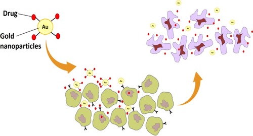 Figure 8 Schematic diagram showing the killing of cancer cells by gold nanoparticles.
