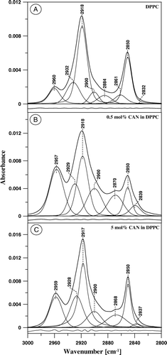 Figure 7.  FTIR absorption spectra, presented in the spectral region characteristic of C-H stretching vibrations, of mono-component monomolecular layer of DPPC (A) and two-component DPPC-canthaxanthin monomolecular layer containing 0.5 mol% (B) and 5 mol% (C) of the carotenoid deposited to Ge support at the surface pressure 25 mN/m. The assignment of the main spectral bands is following: 2850 cm−1 νs (symmetric stretching) in CH2, 2884 cm−1 νs in CH3, 2918 cm−1 νas (antisymmetric stretching) in CH2, 2960 cm−1 νas in CH3. In order to perform an accurate deconvolution of the spectra a Gaussian-Lorentzian mixture has been applied. The fraction of a Gaussian component in the initial set applied for deconvolution was following: the component centered at 2832 cm−1: 1.0, 2850 cm−1: 0.4, 2861 cm−1: 1.0, 2884 cm−1: 1.0, 2900 cm−1: 1.0, 2918 cm−1: 0.47, 2932 cm−1: 0.77, 2960 cm−1: 0.6. The residuals are reported at the bottom of each panel.
