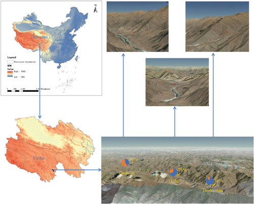 Fig. 1 Map showing the location of the collection sites in Yushu, Qinghai province, China.Red dots are the collection sites. Positive rates in three locations are indicated