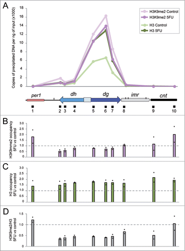 Figure 4. 5FU diminishes H3K9me2 levels relative to total H3. (A) Representative distribution of H3K9me2 and H3 at centromere 1 in S. pombe cells treated or not with 5FU. The values represent the number of DNA copies per ng of input obtained by ChIP experiments followed by qPCR analysis. The diagram below the graph shows the organization of a part of centromere 1 in addition to per1, the euchromatic gene closest to the left dg/dh repeats. Specific regions amplified by qPCR are indicated by black boxes beneath the diagram. Note that since the dg and dh elements are repetitive elements, their relative histone enrichment is a mixture of the individual repetitions located at the three centromeres. However, the other amplification regions were located in the unique genomic position indicated. (B) H3K9me2 occupancy in 5FU-treated cells compared to the untreated control. (C) H3 occupancy in 5FU-treated cells compared to the untreated control. (D) Relative H3K9me2/H3 enrichment in cells exposed to 5FU with respect to the untreated control. Bars represent the average data for two independent replicates with each of the individual data points being displayed by a cross.