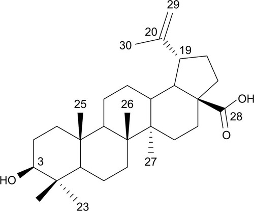 Figure 1 Chemical structure of betulinic acid.