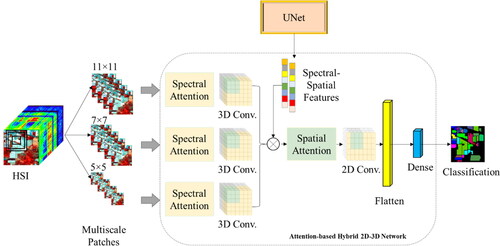 Figure 2. The workflow of the multiscale attention HybridSN model for HSI classification. The model is composed of three sets of 3D convolutional layers, each processing image patches of different scales (5x5, 7x7, and 11x11), and utilizing spectral attention before the 3D convolutional layers to weigh the importance of different spectral bands. The features learned from these 3D convolutional layers are then concatenated and passed through 2D convolutional layers, which employ spatial attention before the 2D convolutional layers to weigh the importance of different spatial locations. Finally, the output is obtained from a fully connected layer with the activation function of softmax.